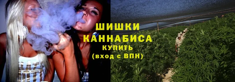 Бошки Шишки Amnesia  Каменногорск 